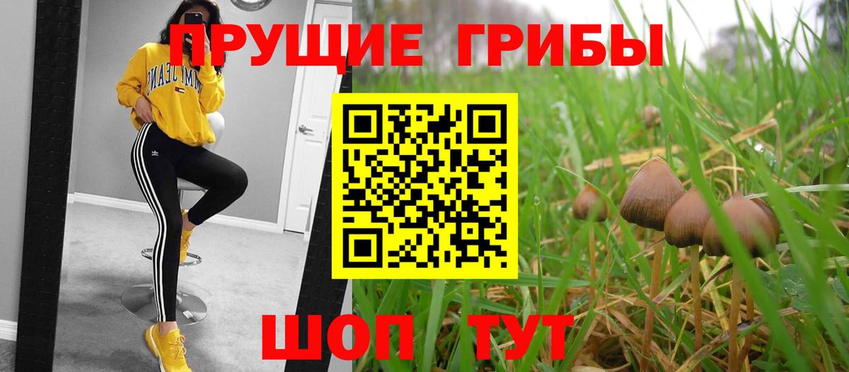 Псилоцибиновые грибы прущие грибы Боровичи